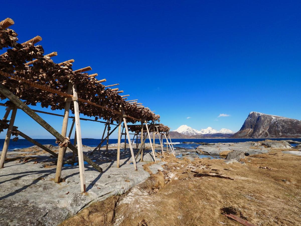 View Lofoten Bostad
